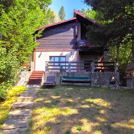 Mountain Family Chalet On Prahova Valley コマルニク エクステリア 写真