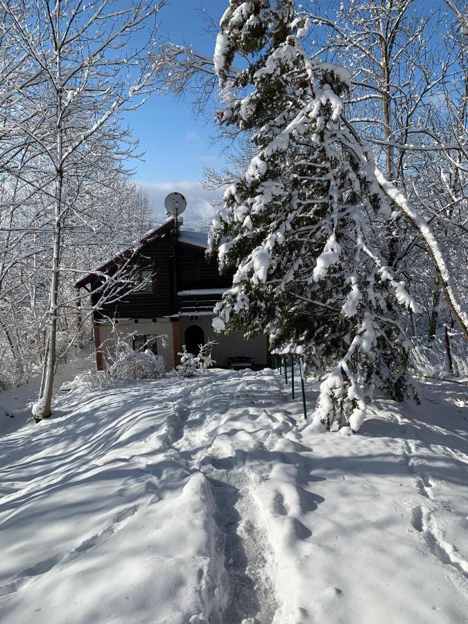 Mountain Family Chalet On Prahova Valley コマルニク エクステリア 写真