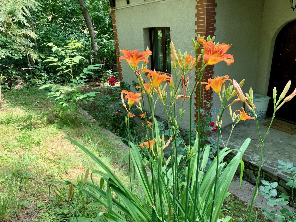 Mountain Family Chalet On Prahova Valley コマルニク エクステリア 写真