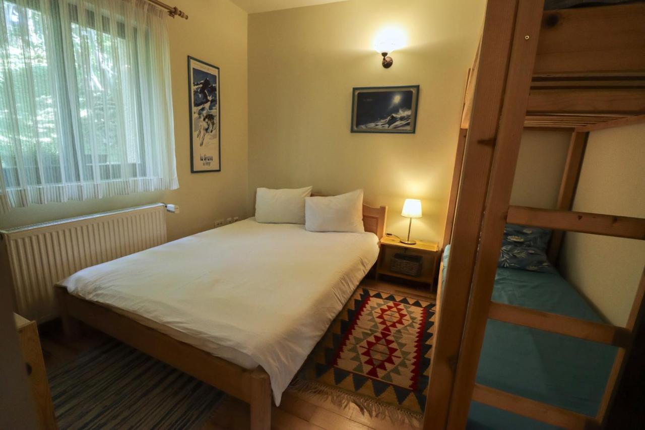 Mountain Family Chalet On Prahova Valley コマルニク エクステリア 写真