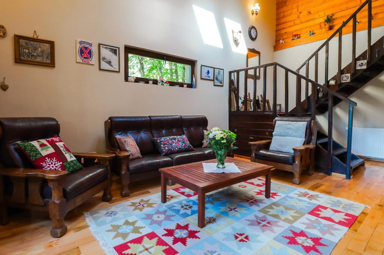 Mountain Family Chalet On Prahova Valley コマルニク エクステリア 写真