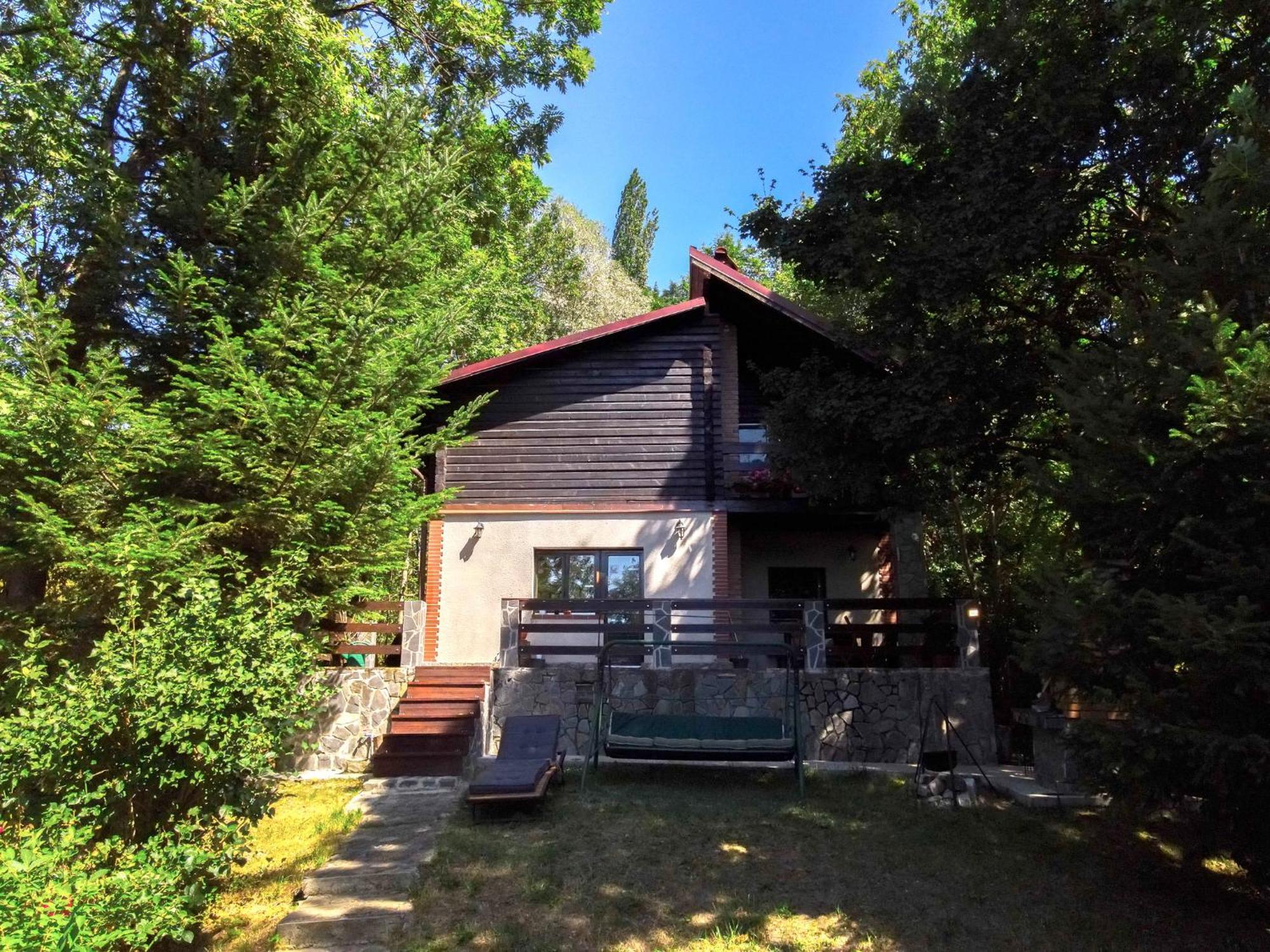 Mountain Family Chalet On Prahova Valley コマルニク エクステリア 写真