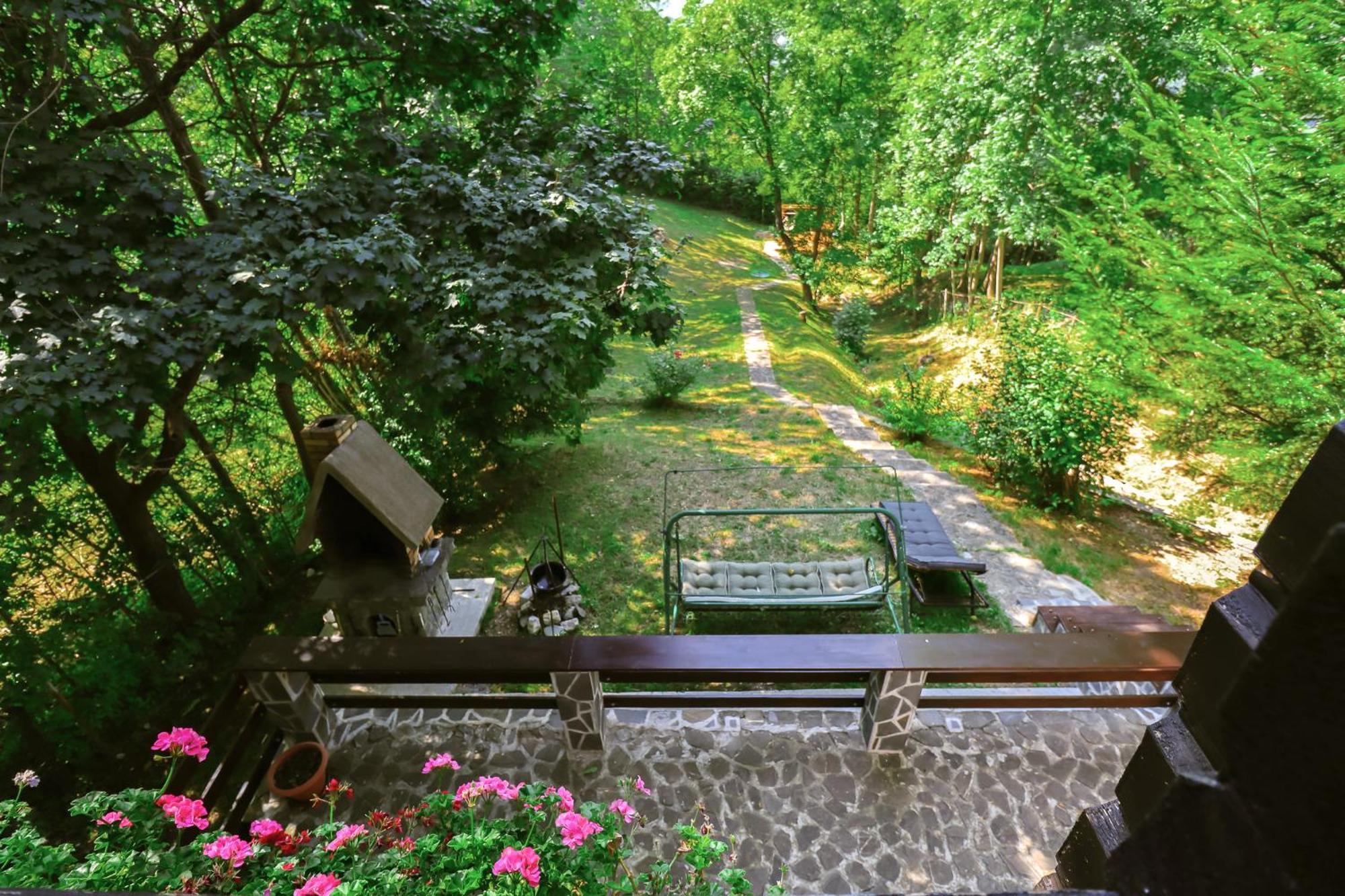 Mountain Family Chalet On Prahova Valley コマルニク エクステリア 写真